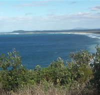 Delicate Beach - Sydney Tourism
