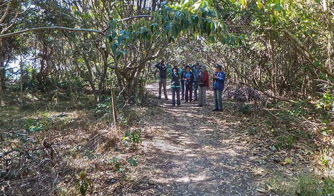 Brunswick Heads Nature Reserve - Sydney Tourism 3