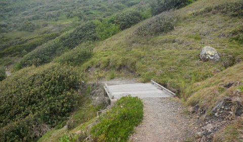 Connors Walking Track - Sydney Tourism 2