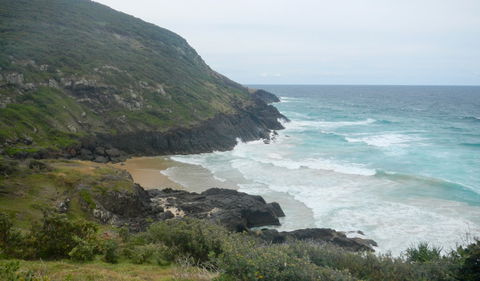 Connors Walking Track - Sydney Tourism 0