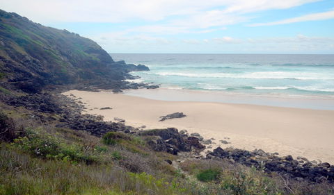 Connors Walking Track - Sydney Tourism 1