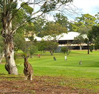 Pambula Merimbula Golf Club - Sydney Tourism