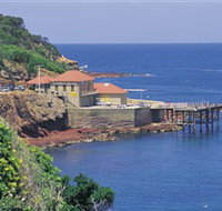 Merimbula Aquarium - Sydney Tourism