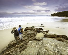 Wilderness Coast Walk - Sydney Tourism 0