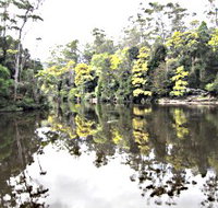 Arthur River - Sydney Tourism