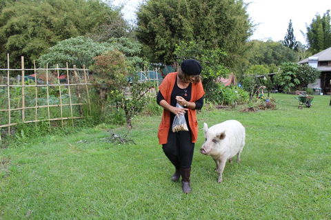 Djanbung Permaculture Gardens - Sydney Tourism 7