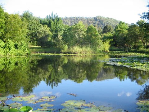 Djanbung Permaculture Gardens - Sydney Tourism 10
