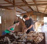 Peron Homestead - Sydney Tourism