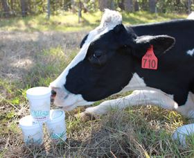Millers Ice Cream - Sydney Tourism 2