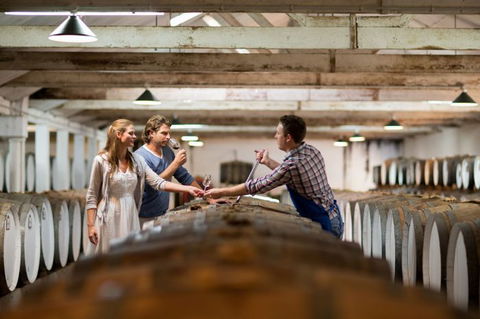 Seppeltsfield Winery Tours - Sydney Tourism 8