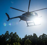 Tall Timbers Adventure Tours - Sydney Tourism