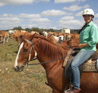 Myella Farm Stay Tours - Sydney Tourism