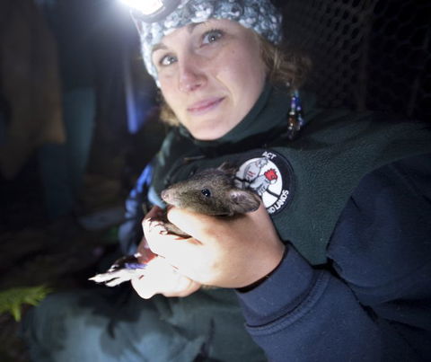 Naturewise At Tidbinbilla - Sydney Tourism 0