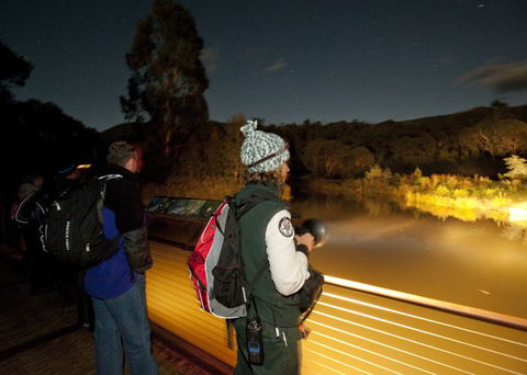 Naturewise At Tidbinbilla - Sydney Tourism 1
