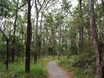Burpengary East QLD Sydney Tourism