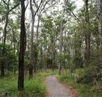 Caboolture Regional Environment Education Centre - Walking Trails - Sydney Tourism