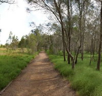 Billai dhagun Circuit Place of She-Oaks - Sydney Tourism