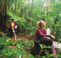Ships Stern circuit - Sydney Tourism