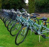 Barossa Bike  - Sydney Tourism