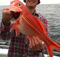 Goin' Off Safaris - Sydney Tourism