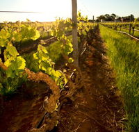 Kaesler Old Vine Vineyard Tour - Sydney Tourism