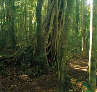 Tullawallal circuit - Sydney Tourism