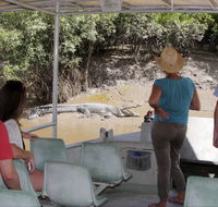 Whitsunday Crocodile Safari