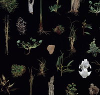 Weswal Gallery - Sydney Tourism