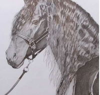 Great Lakes Art Society - Sydney Tourism