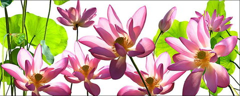 Tin Shed Art Gallery - Sydney Tourism 3