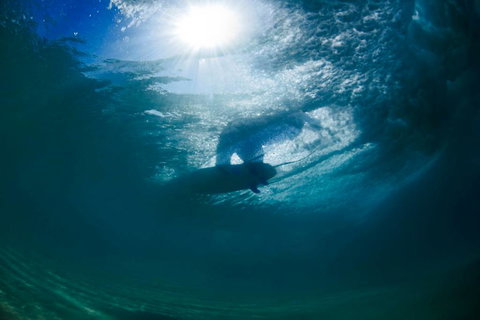 Ocean Art Gallery & Cafe - Sydney Tourism 4