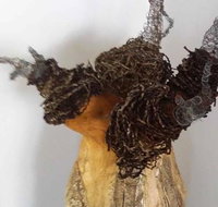 Caldera Wildscapes Gallery - Sydney Tourism