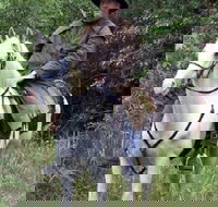 AAA Horse Riding  More - Sydney Tourism