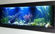Aquariums In Cairns - thumb 0