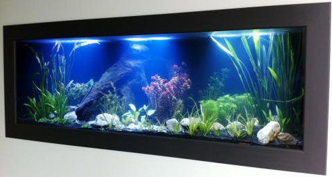 Aquariums In Cairns - Sydney Tourism 0