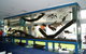 Aquariums In Cairns - thumb 2