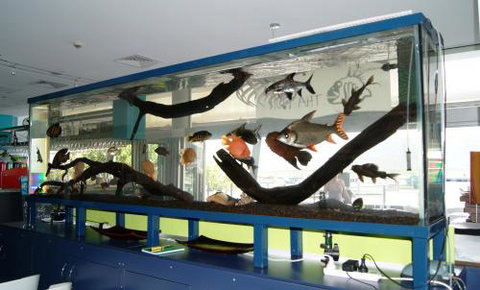 Aquariums In Cairns - Sydney Tourism 2
