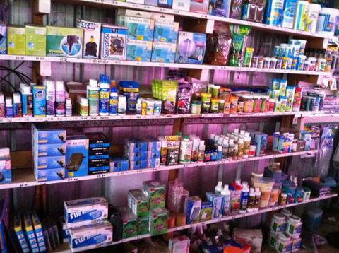 Hurley’s Aquariums - Sydney Tourism 1