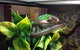 Pets Wonderland - thumb 3