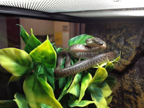 Pets Wonderland - Sydney Tourism 3