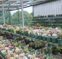 Summerland Aquarium - Sydney Tourism