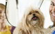 Port Stephens Pet Barn - thumb 1