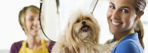 Port Stephens Pet Barn - Sydney Tourism 1