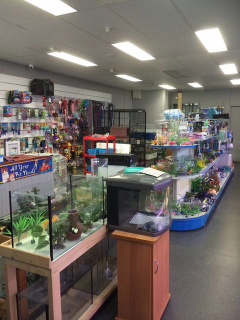 Nambour Pet Shop - Sydney Tourism 0
