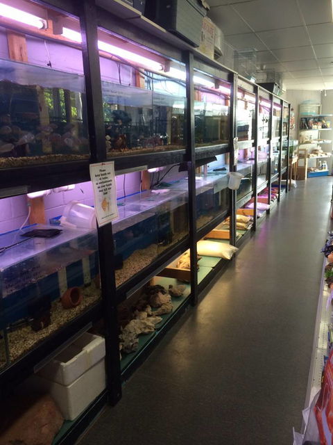 Nambour Pet Shop - Sydney Tourism 1