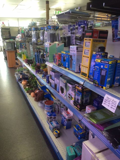 Nambour Pet Shop - Sydney Tourism 2
