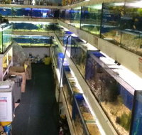 Clearwater Aquariums - Sydney Tourism