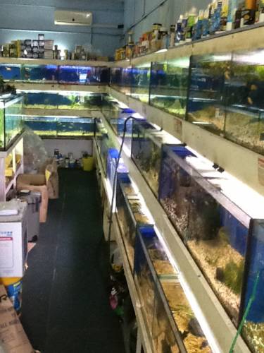 Clearwater Aquariums - Sydney Tourism 0