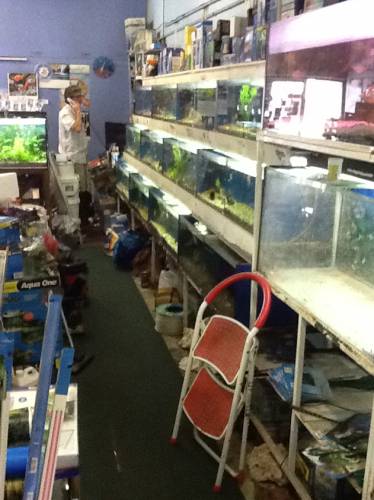 Clearwater Aquariums - Sydney Tourism 1