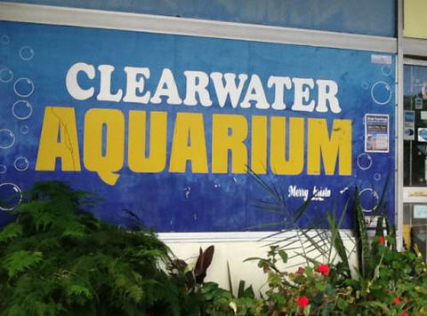 Clearwater Aquariums - Sydney Tourism 2